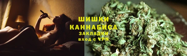 стаф Аркадак