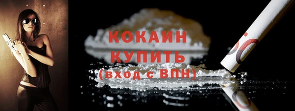 стаф Аркадак