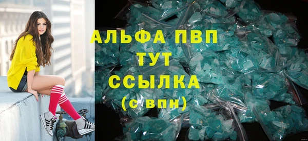 стаф Аркадак