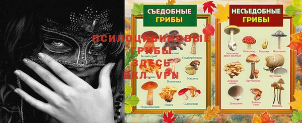 каннабис Арсеньев