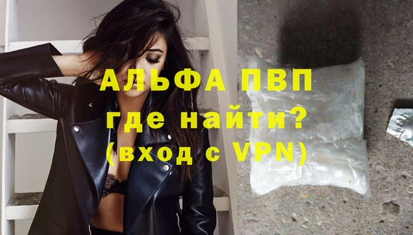 стаф Аркадак