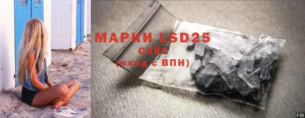 стаф Аркадак